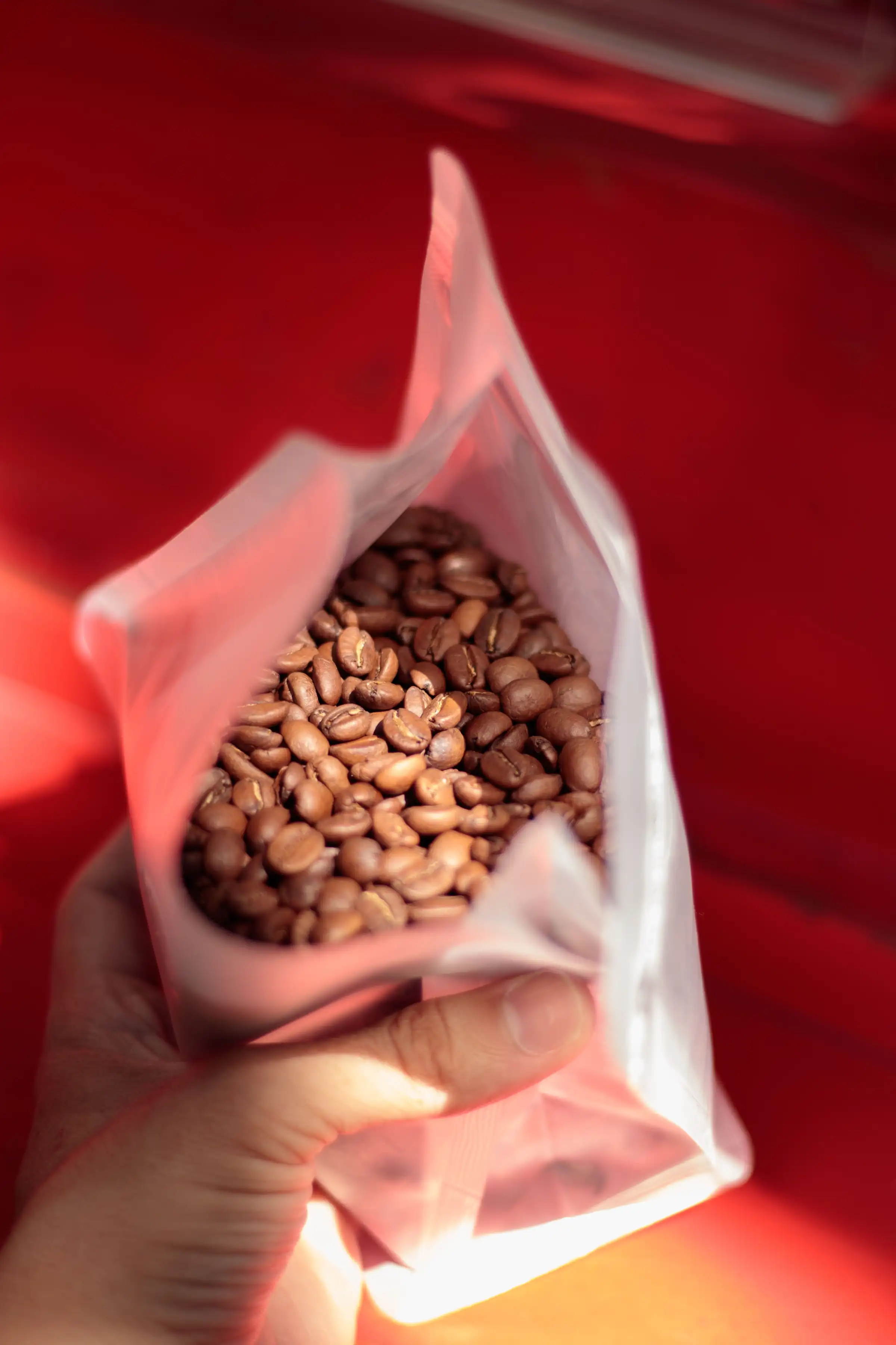 Hand holding an open bag of freshly roasted coffee beans